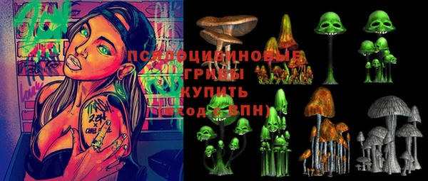 твердый Балахна